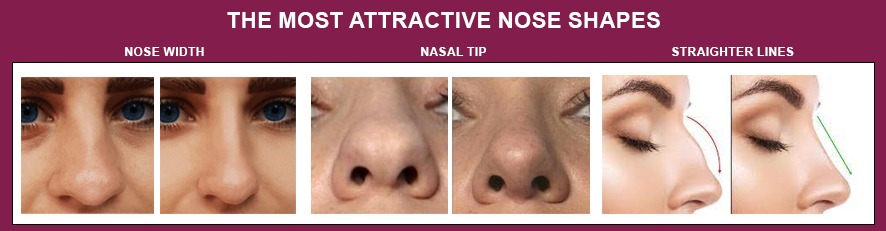 What are the most attractive nose shapes?